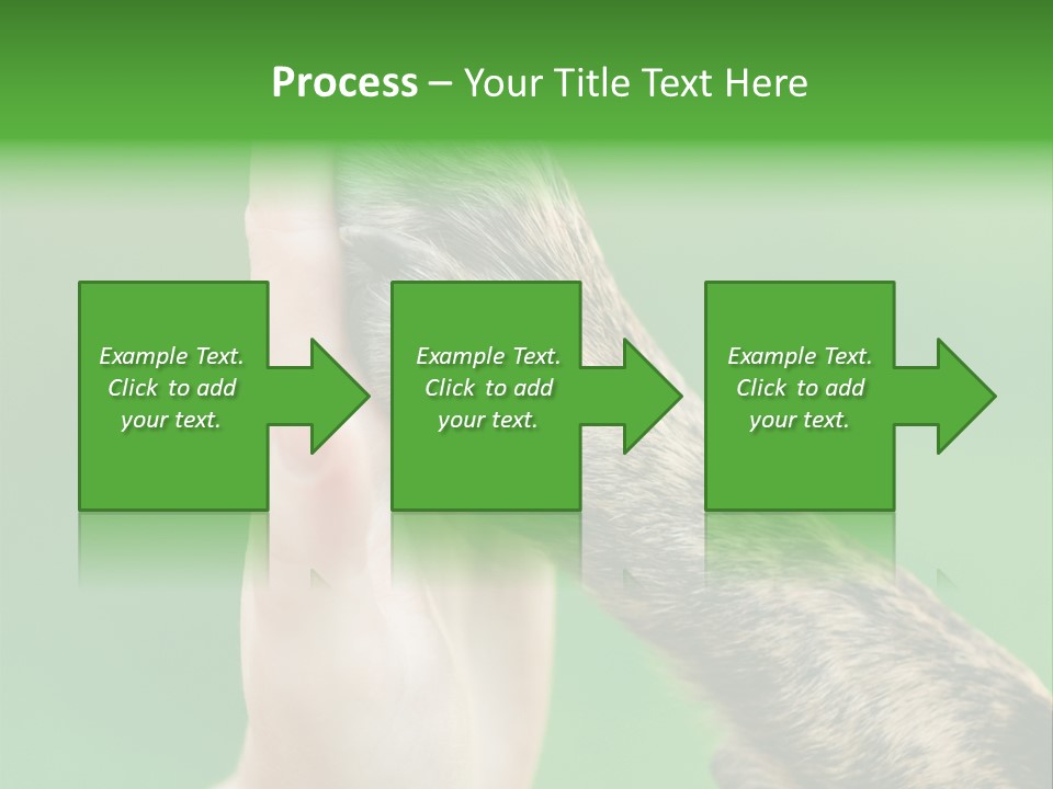 Canine Breed Companionship PowerPoint Template