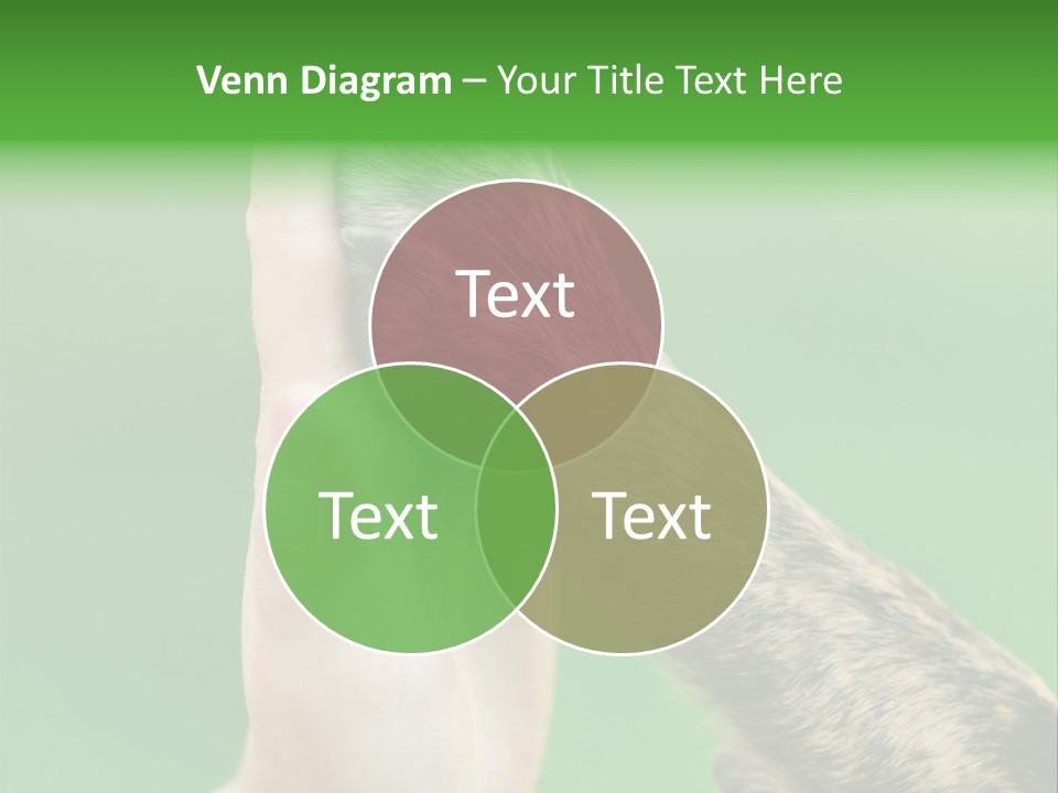 Canine Breed Companionship PowerPoint Template