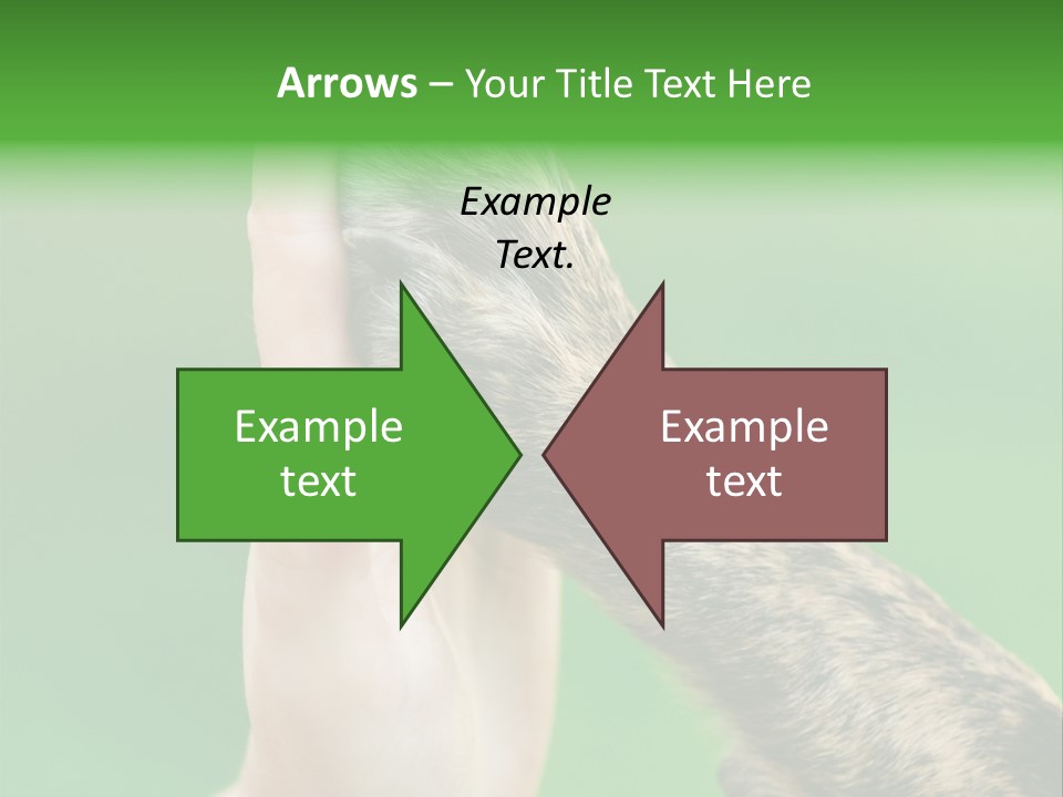 Canine Breed Companionship PowerPoint Template