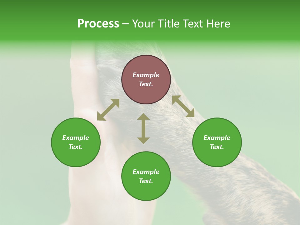 Canine Breed Companionship PowerPoint Template