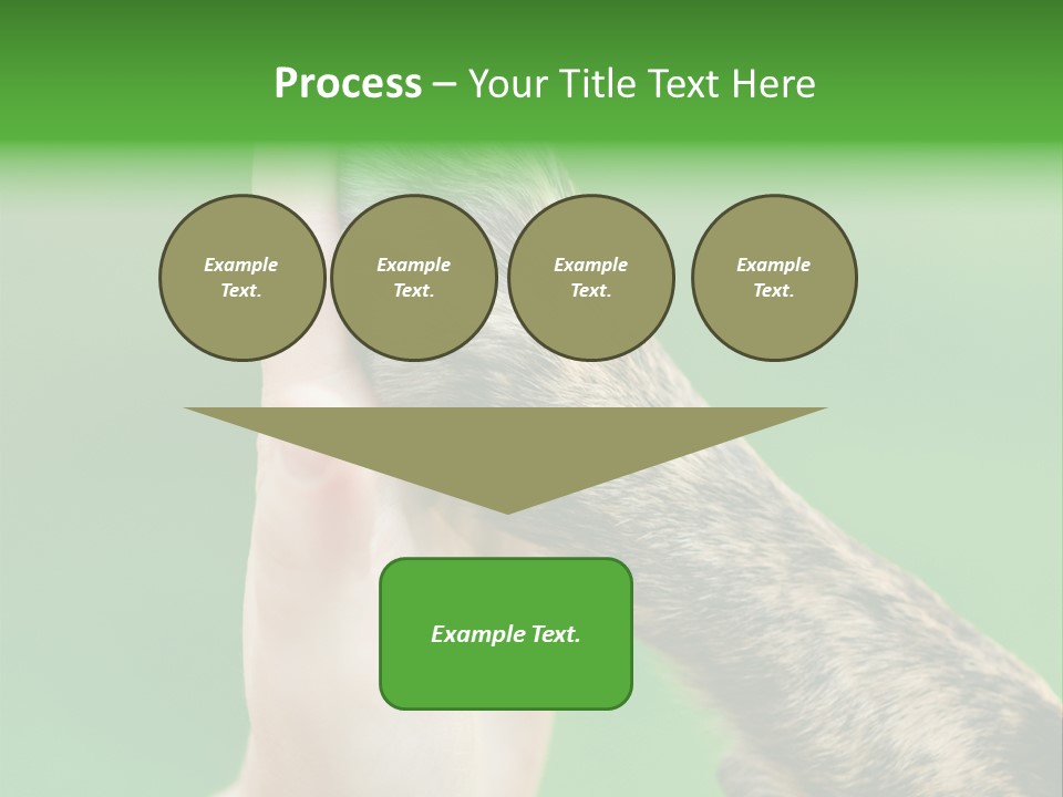 Canine Breed Companionship PowerPoint Template