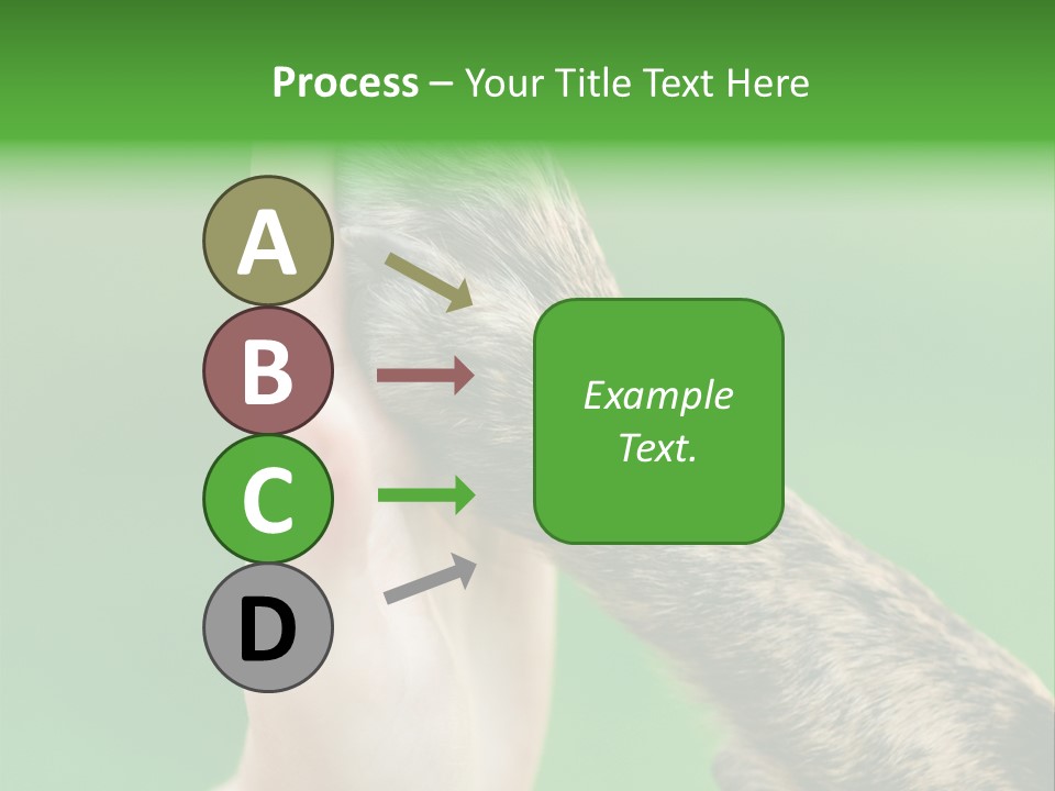 Canine Breed Companionship PowerPoint Template