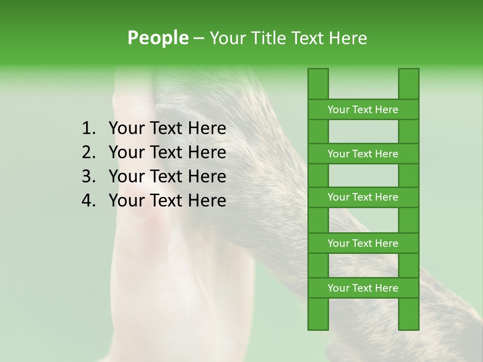 Canine Breed Companionship PowerPoint Template