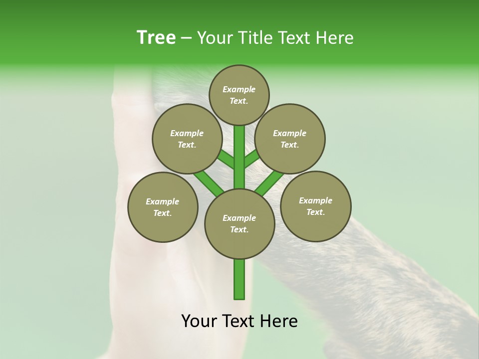 Canine Breed Companionship PowerPoint Template