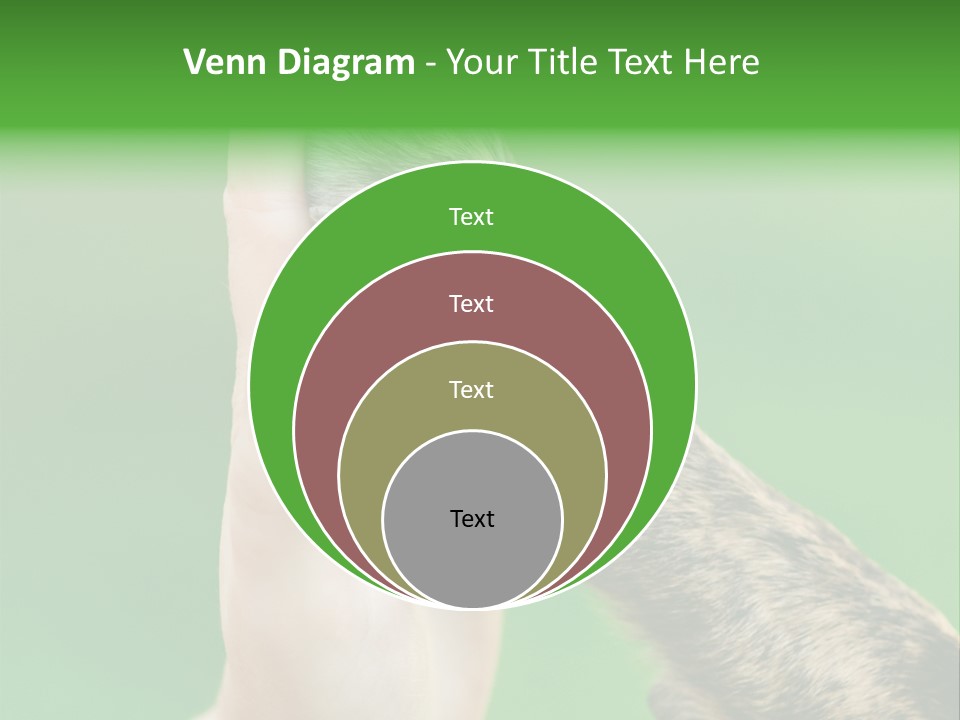 Canine Breed Companionship PowerPoint Template