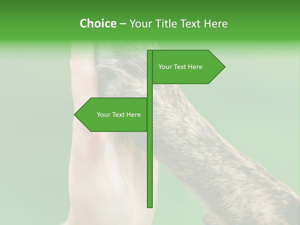 Canine Breed Companionship PowerPoint Template