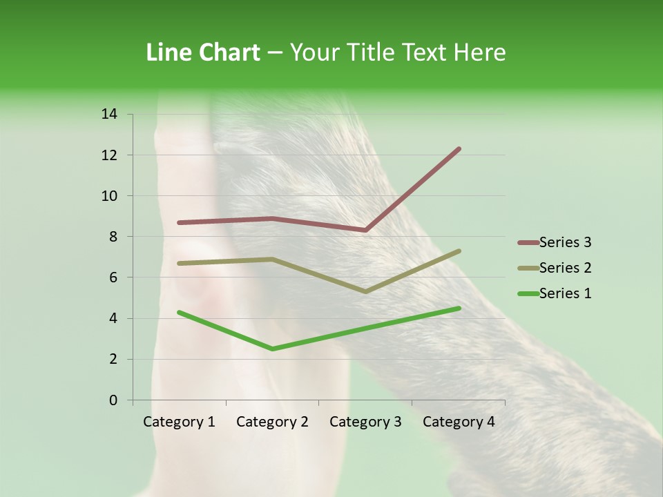 Canine Breed Companionship PowerPoint Template