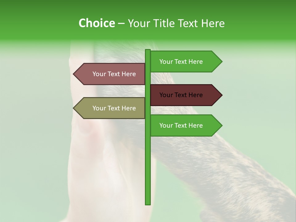 Canine Breed Companionship PowerPoint Template