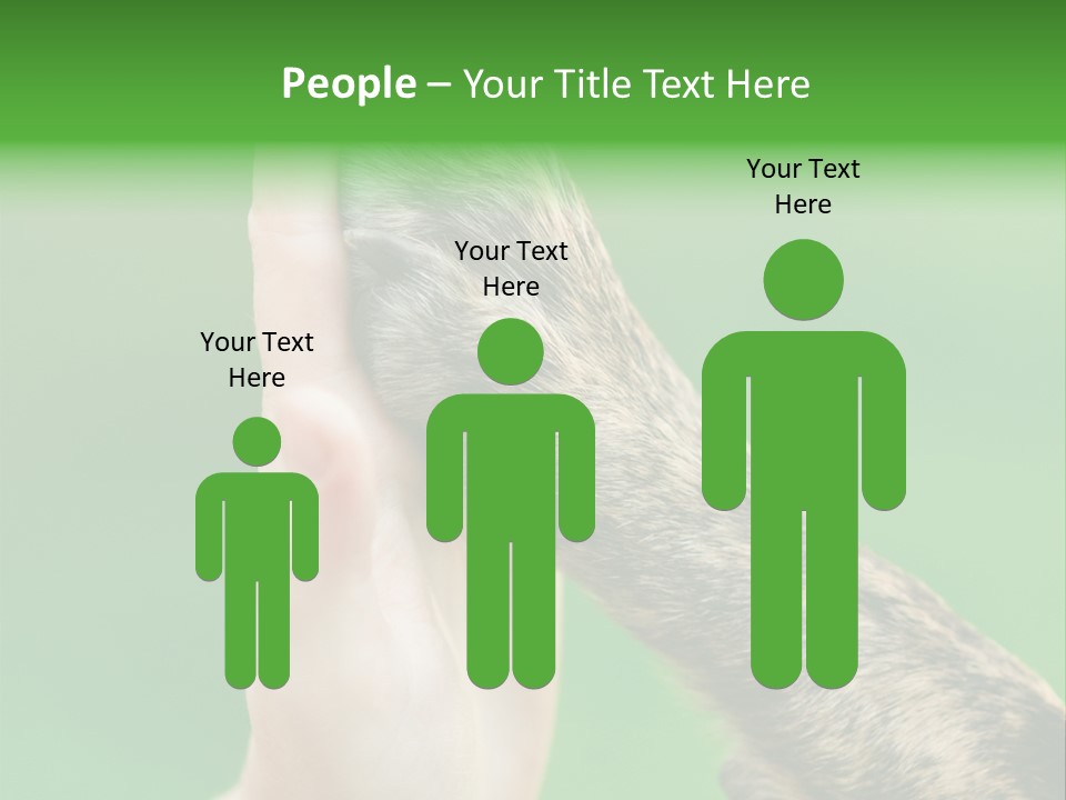 Canine Breed Companionship PowerPoint Template