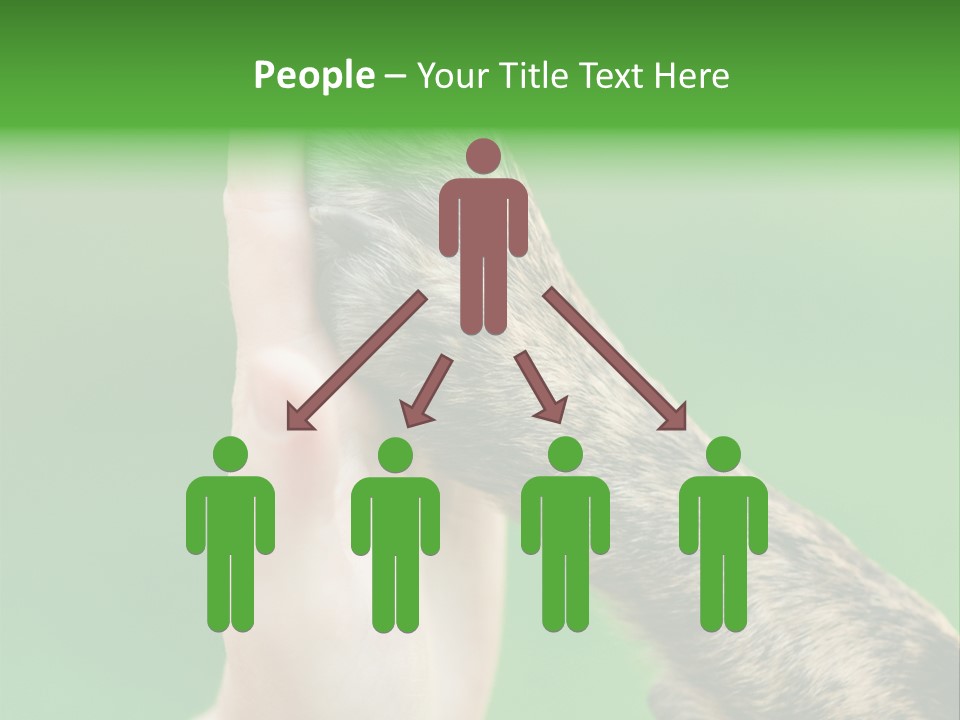 Canine Breed Companionship PowerPoint Template