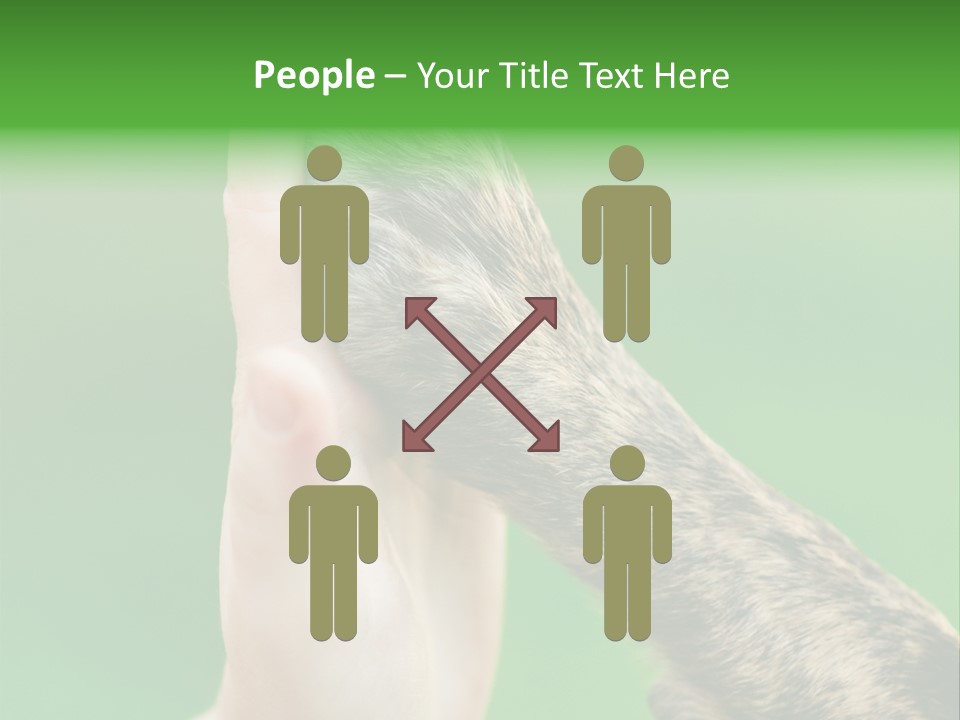 Canine Breed Companionship PowerPoint Template