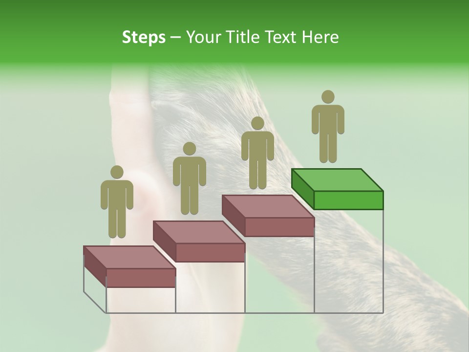 Canine Breed Companionship PowerPoint Template