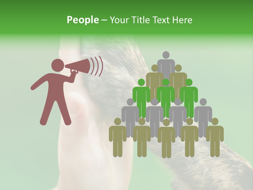 Canine Breed Companionship PowerPoint Template