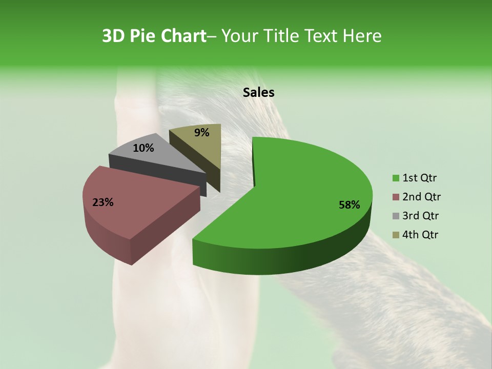 Canine Breed Companionship PowerPoint Template