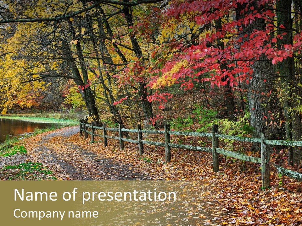 Wet Tranquil Pastoral Scene PowerPoint Template