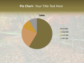 Wet Tranquil Pastoral Scene PowerPoint Template