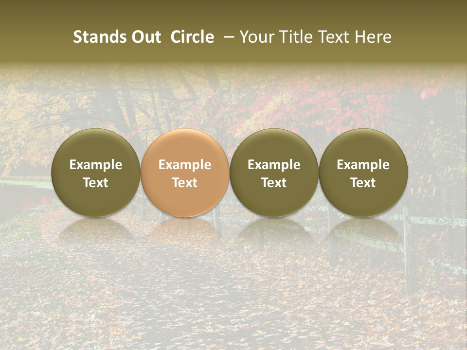 Wet Tranquil Pastoral Scene PowerPoint Template