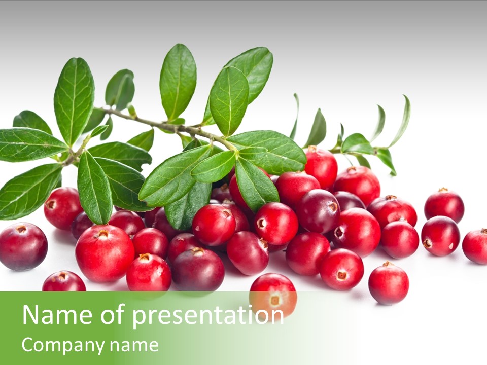 Cranberry Eating Ingredient PowerPoint Template