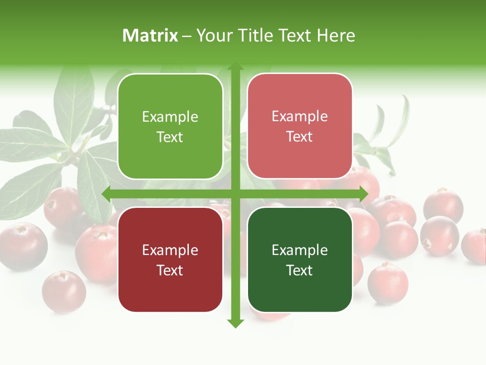 Cranberry Eating Ingredient PowerPoint Template