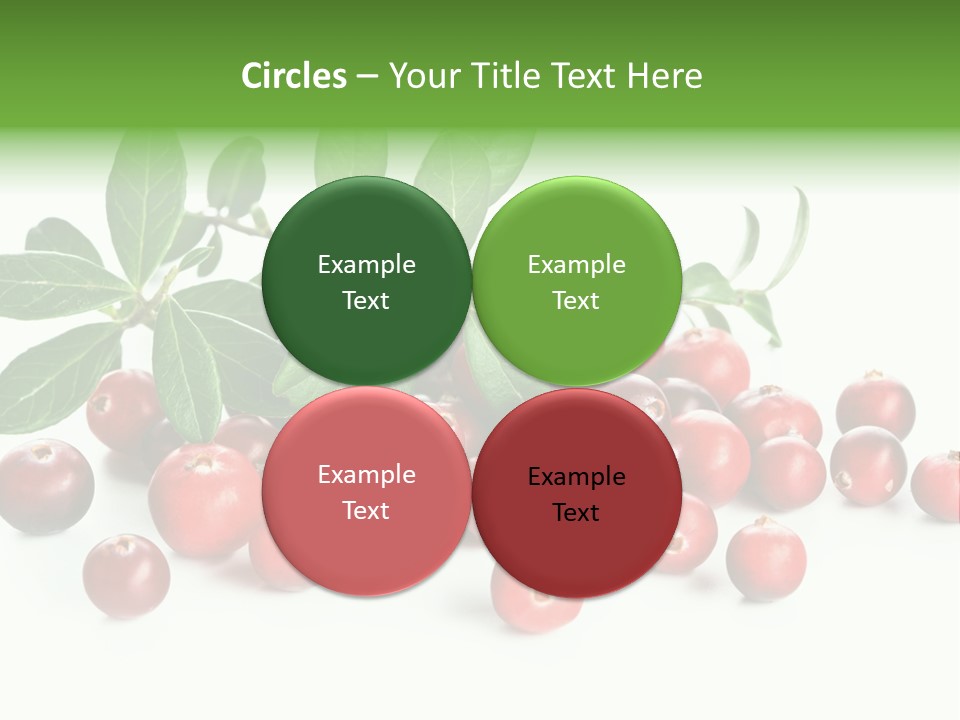 Cranberry Eating Ingredient PowerPoint Template