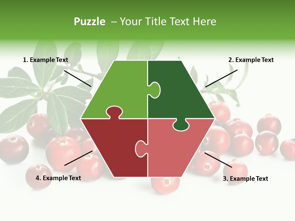 Cranberry Eating Ingredient PowerPoint Template