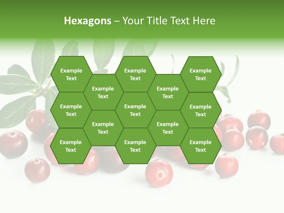Cranberry Eating Ingredient PowerPoint Template