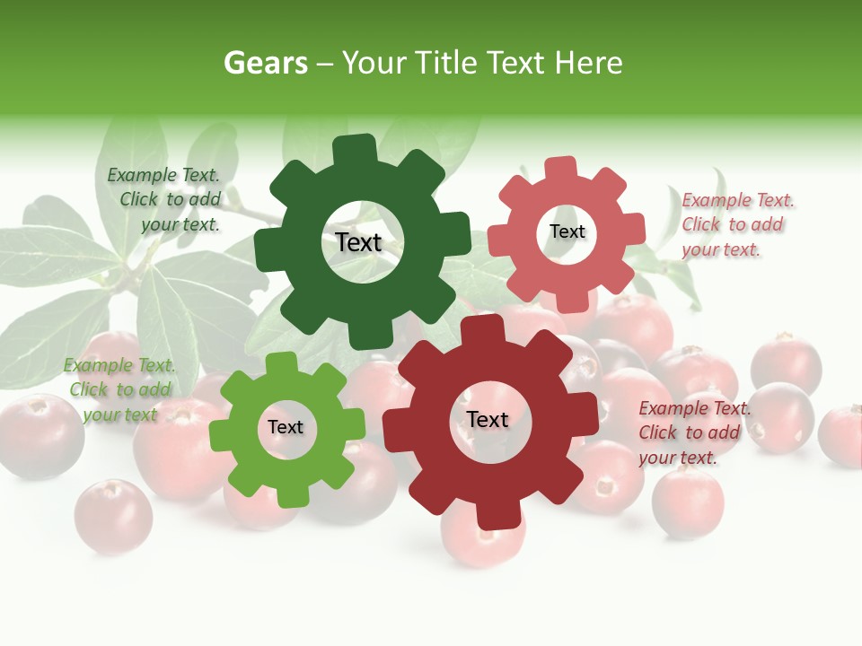 Cranberry Eating Ingredient PowerPoint Template