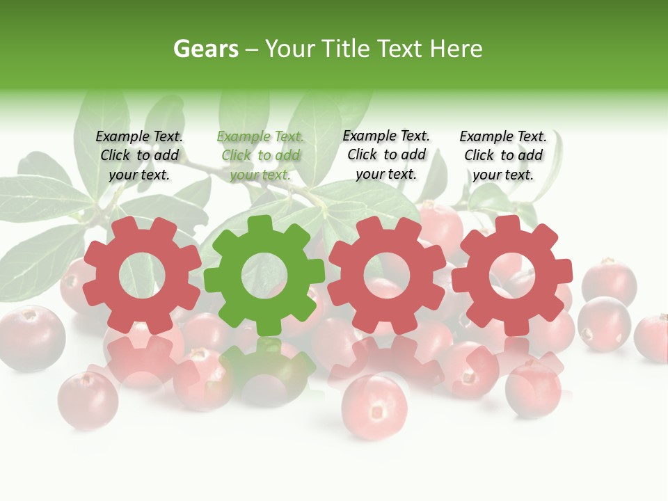 Cranberry Eating Ingredient PowerPoint Template