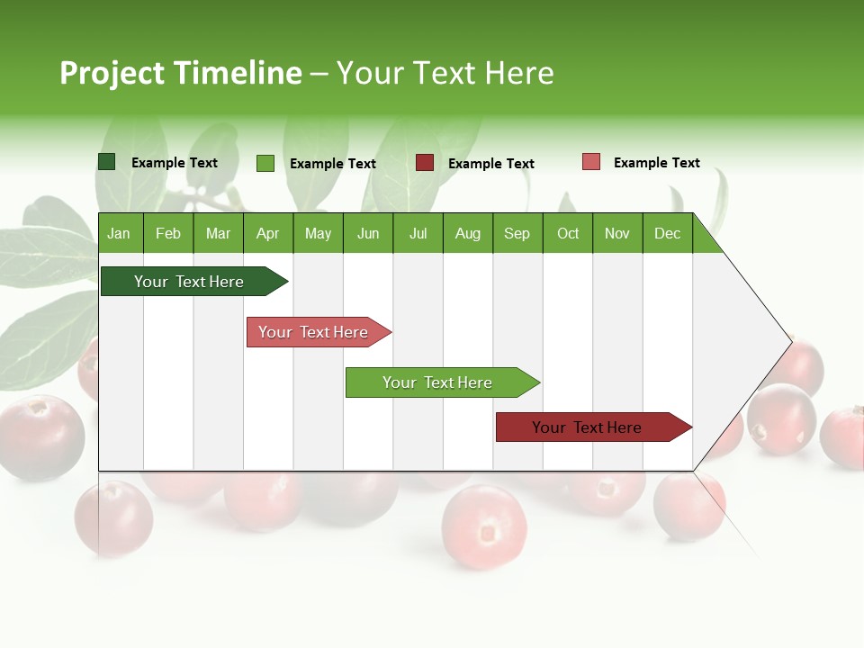 Cranberry Eating Ingredient PowerPoint Template