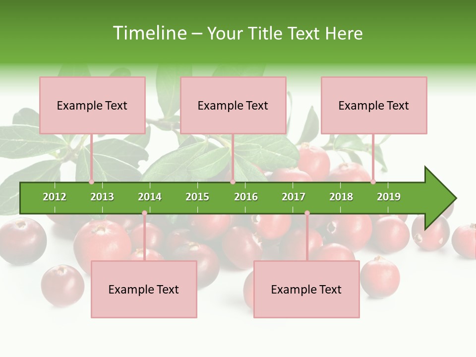 Cranberry Eating Ingredient PowerPoint Template