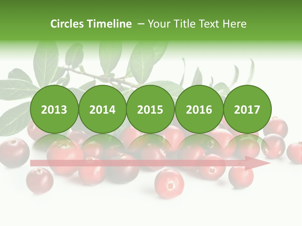 Cranberry Eating Ingredient PowerPoint Template