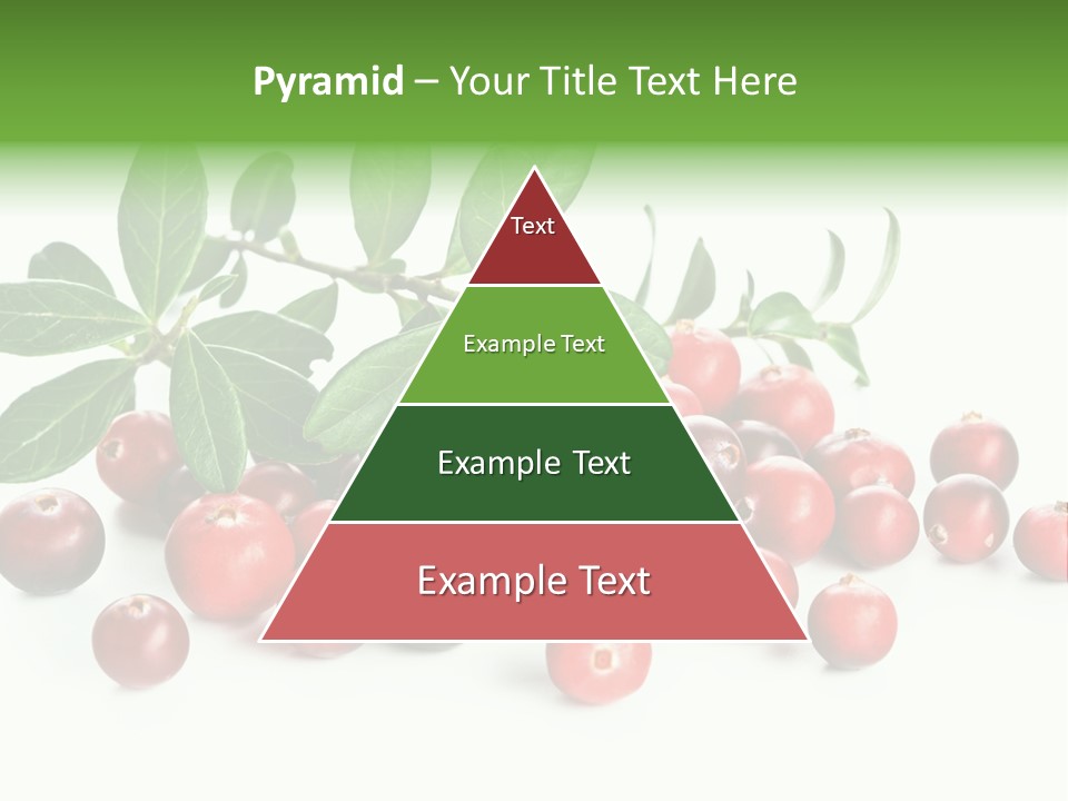 Cranberry Eating Ingredient PowerPoint Template
