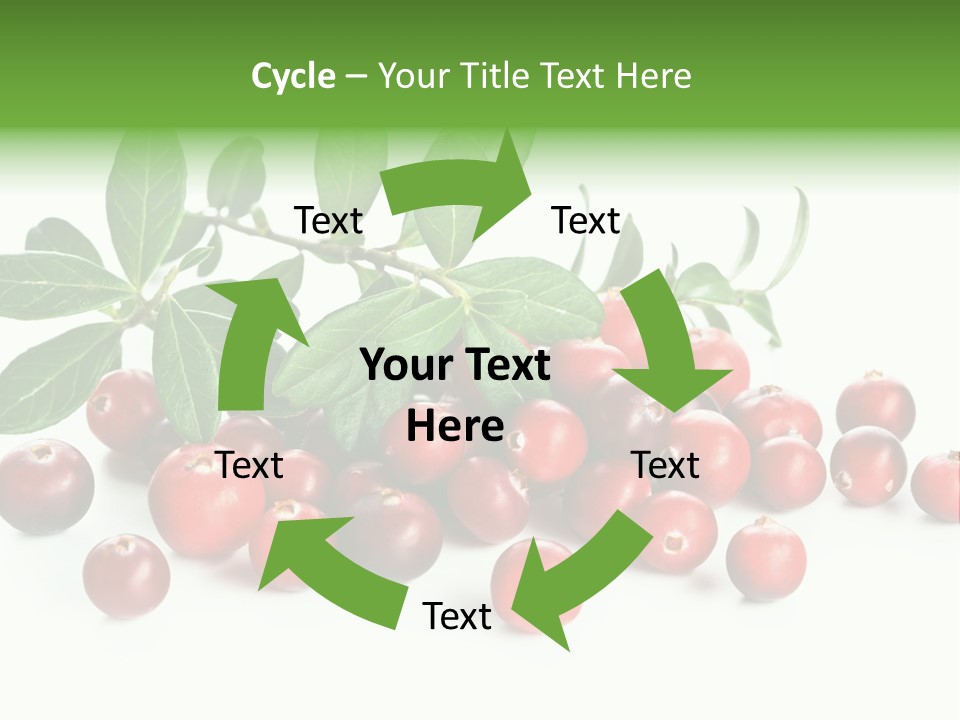 Cranberry Eating Ingredient PowerPoint Template