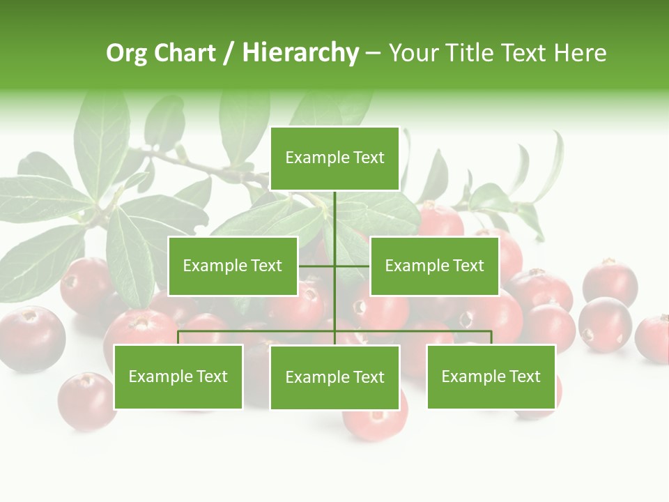 Cranberry Eating Ingredient PowerPoint Template