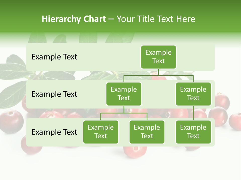 Cranberry Eating Ingredient PowerPoint Template