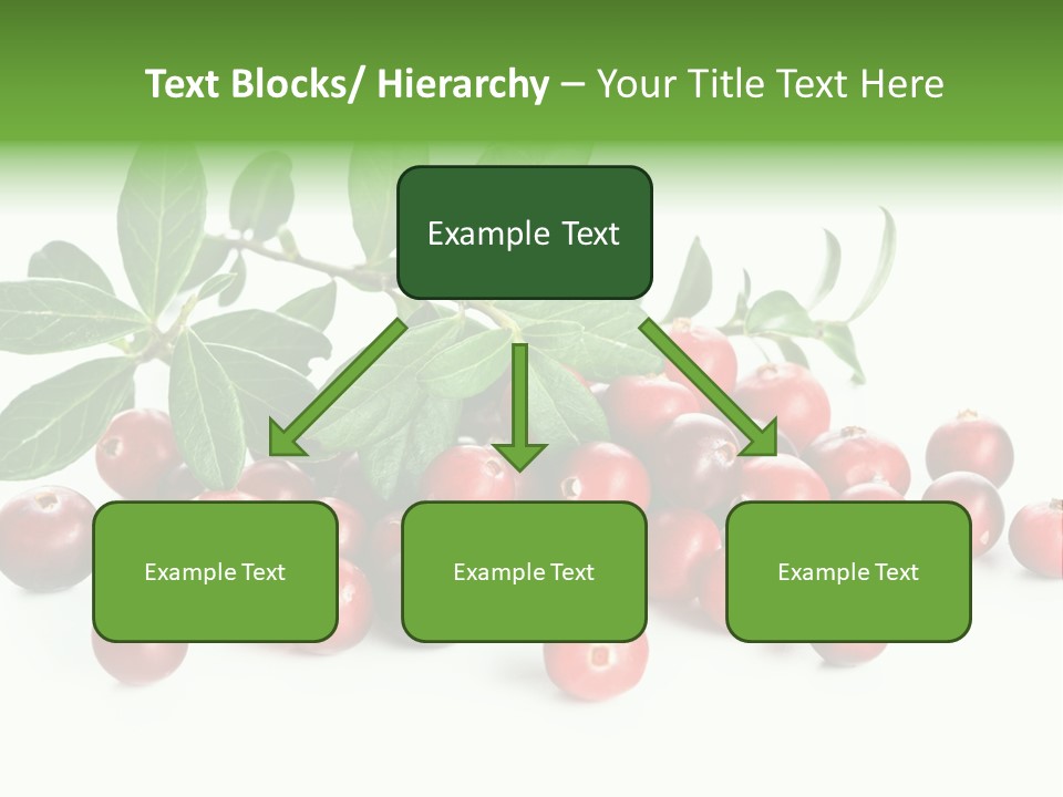 Cranberry Eating Ingredient PowerPoint Template