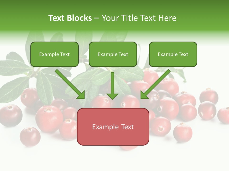 Cranberry Eating Ingredient PowerPoint Template