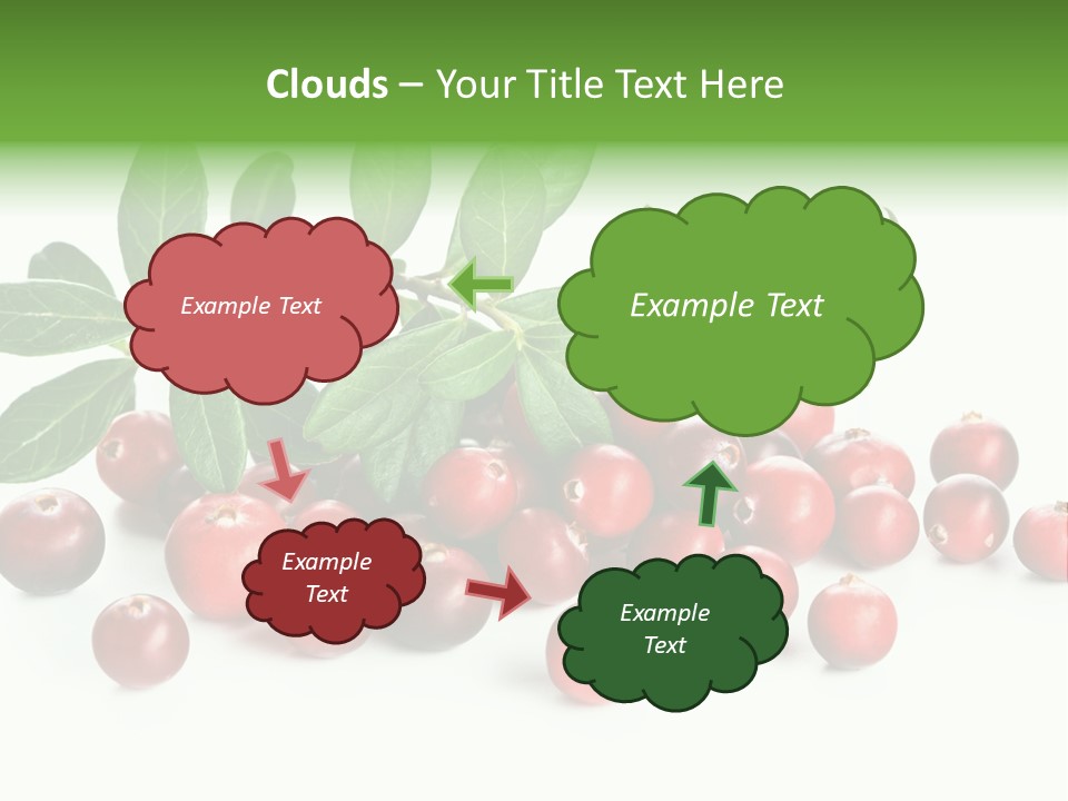 Cranberry Eating Ingredient PowerPoint Template