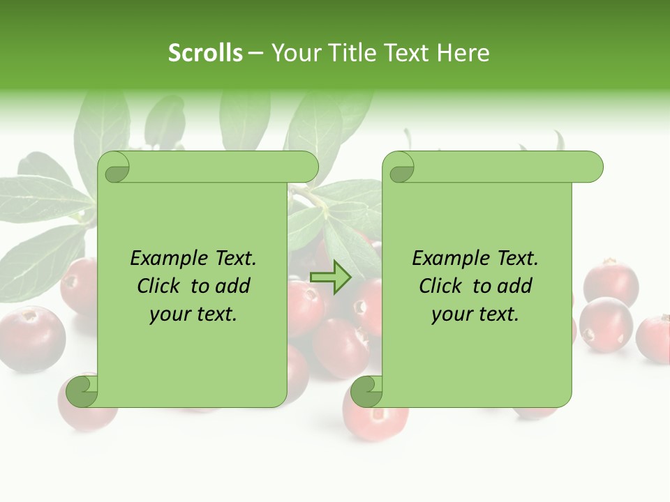 Cranberry Eating Ingredient PowerPoint Template