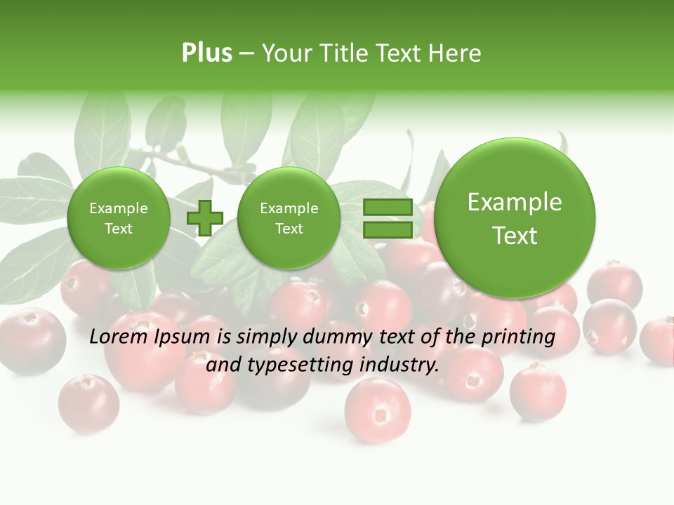 Cranberry Eating Ingredient PowerPoint Template