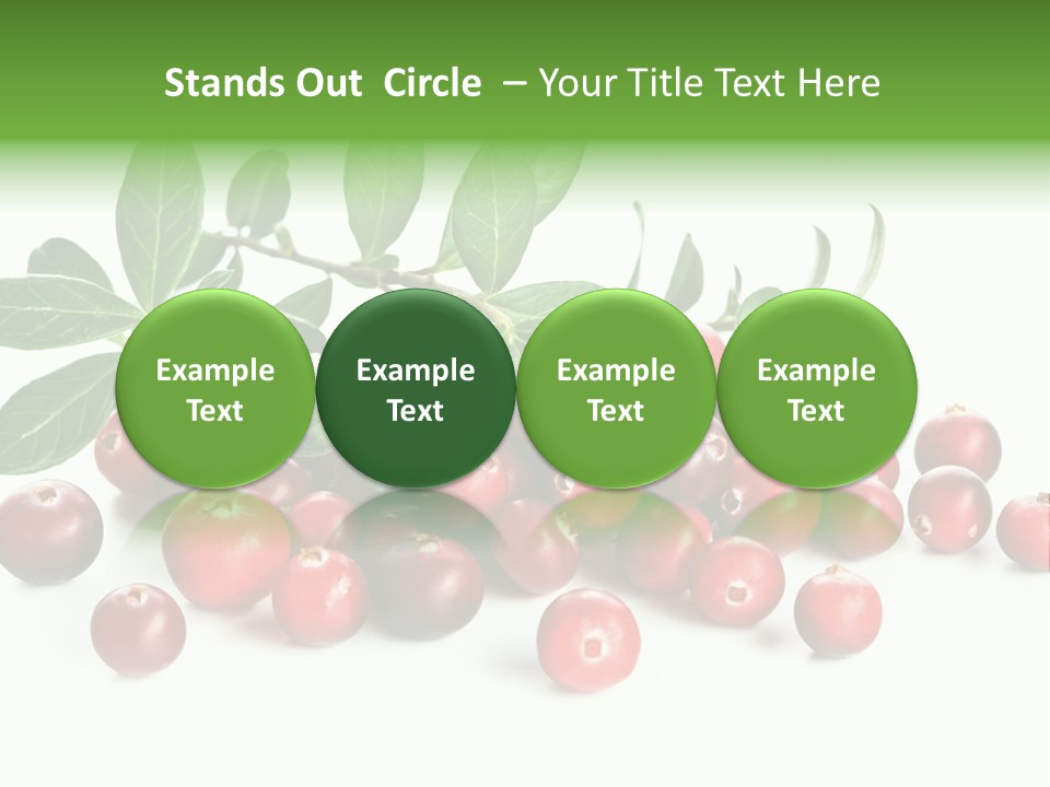 Cranberry Eating Ingredient PowerPoint Template