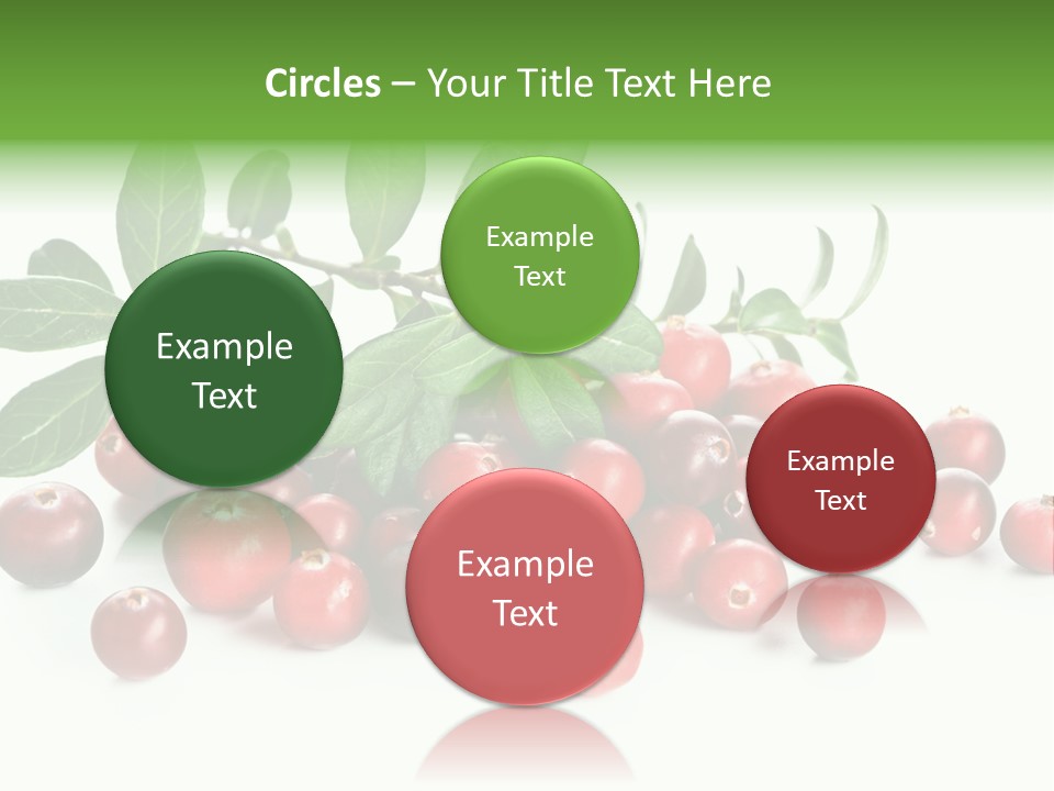 Cranberry Eating Ingredient PowerPoint Template