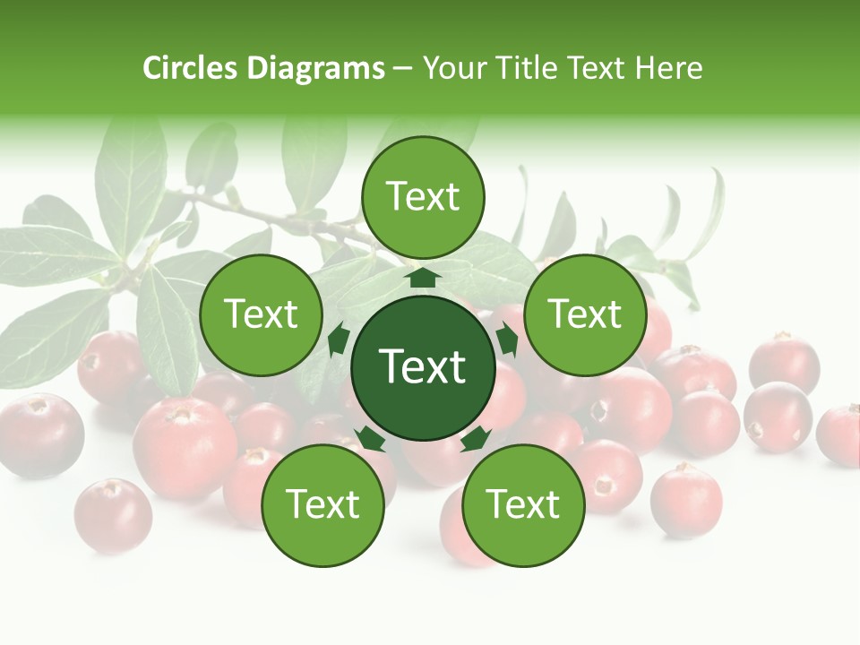 Cranberry Eating Ingredient PowerPoint Template