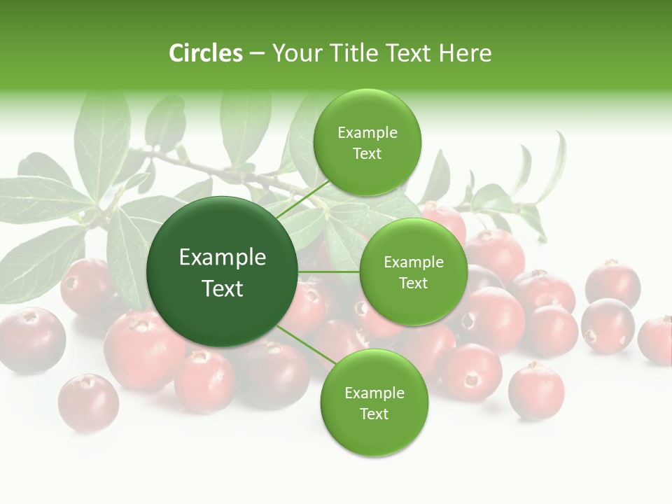Cranberry Eating Ingredient PowerPoint Template
