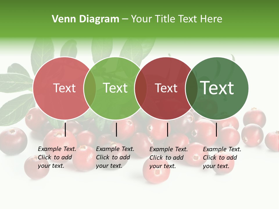 Cranberry Eating Ingredient PowerPoint Template