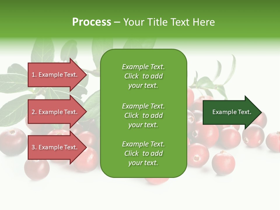 Cranberry Eating Ingredient PowerPoint Template