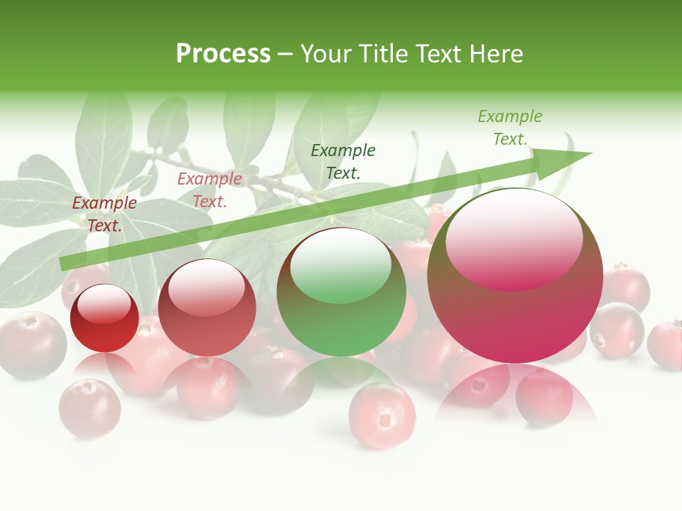 Cranberry Eating Ingredient PowerPoint Template