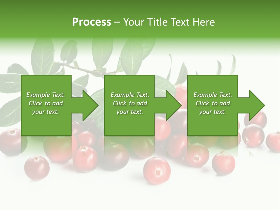 Cranberry Eating Ingredient PowerPoint Template