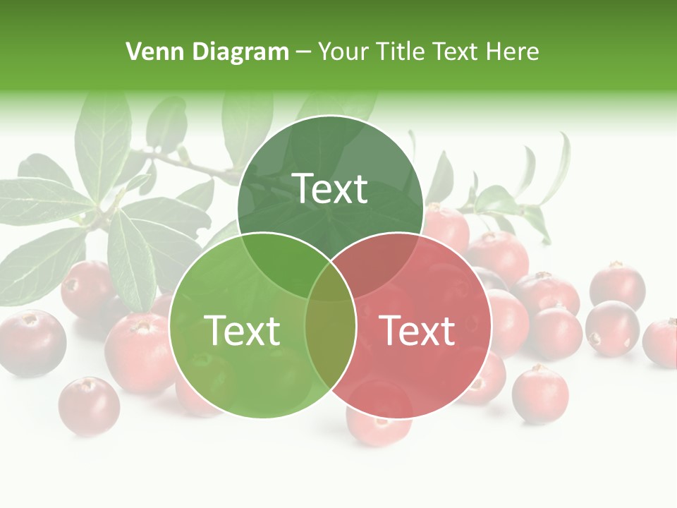 Cranberry Eating Ingredient PowerPoint Template