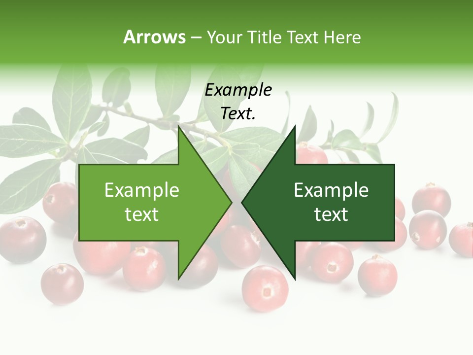 Cranberry Eating Ingredient PowerPoint Template